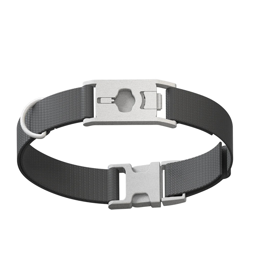 Whistle Small Twist & Go Pet Tracking Collar Compatible With Whistle GO Explore Dog GPS Tracker Device, Gray