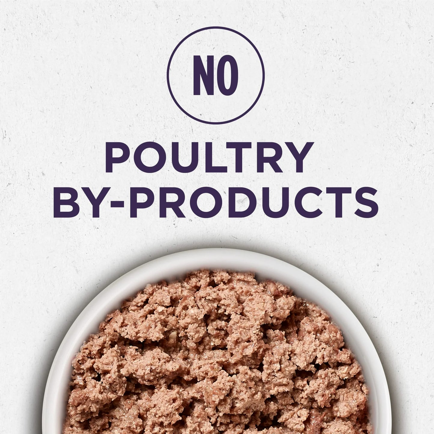 Purina ONE Plus Vibrant Maturity Wet Dog Food for Adults High Protein Turkey & Barley, 13 oz Can