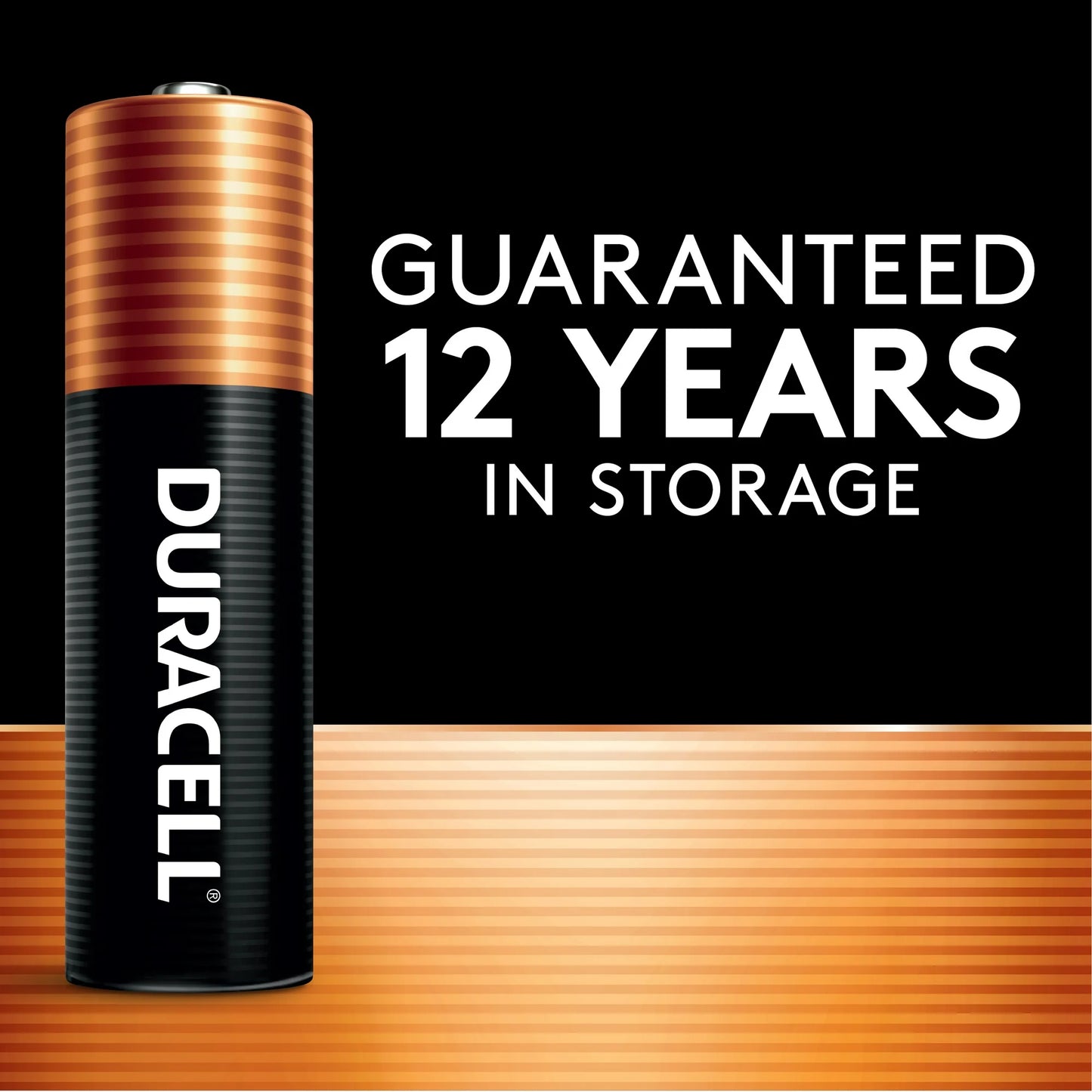 Duracell Coppertop AAA Alkaline Batteries 24/PK