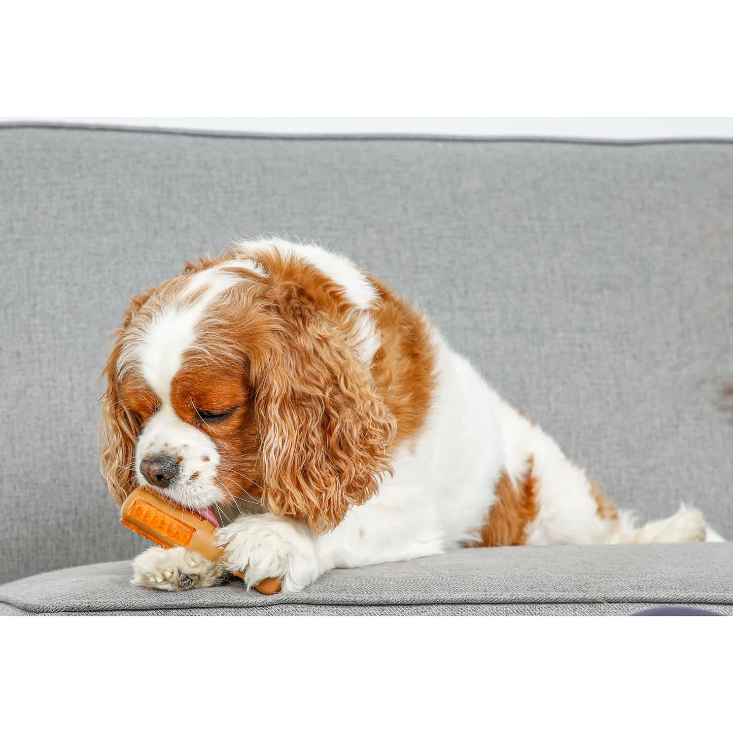 Hartz Chew 'N Clean Small Drumstick Dog Chew Toy, Chicken Flavored for Moderate Chewers