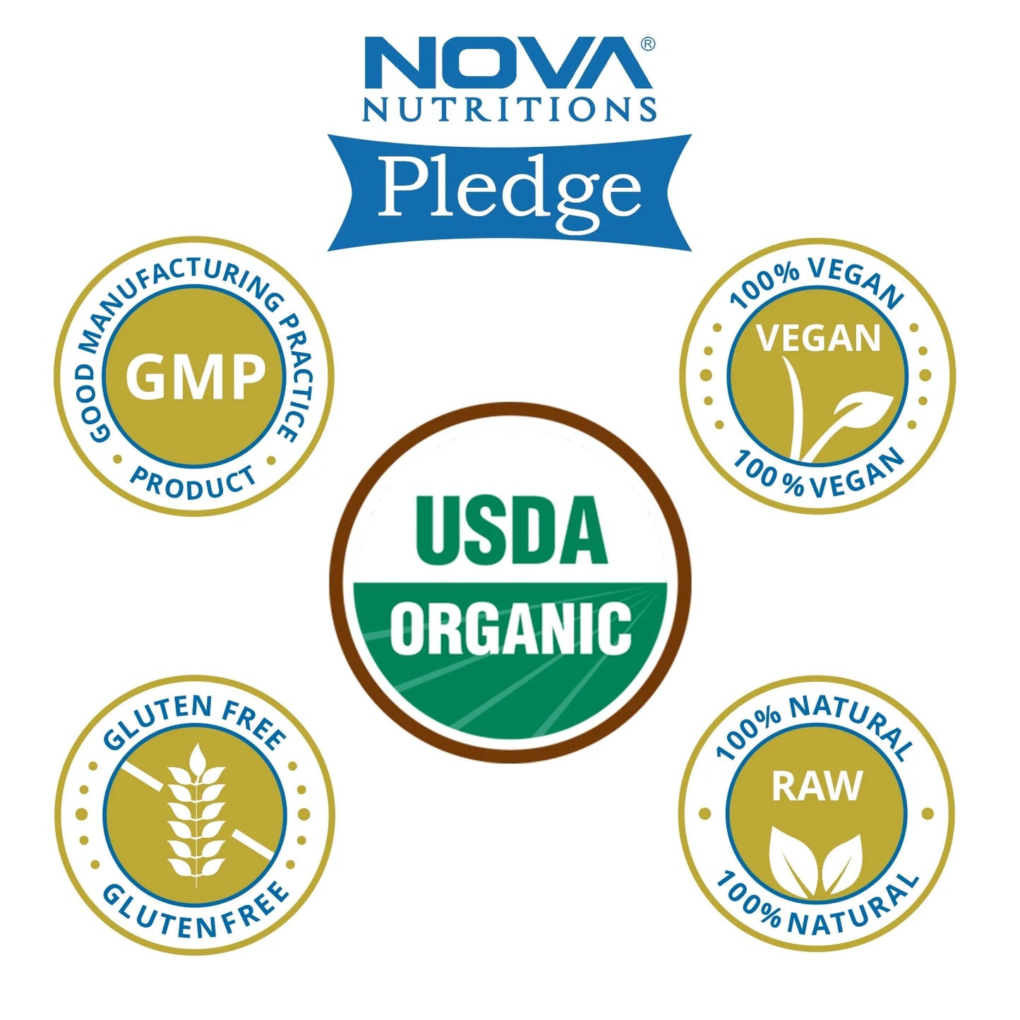 Nova Nutritions Certified Organic Bacopa Powder 16 OZ (454 gm) - Also Called Bacopa Monnieri (Leaf)