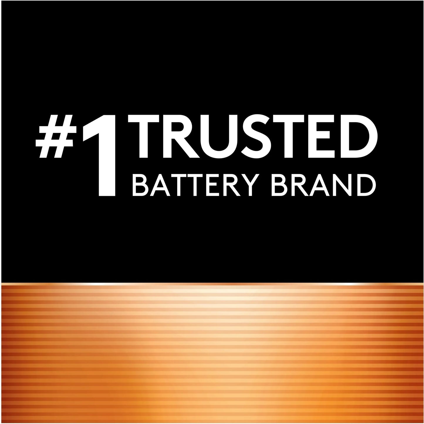 Duracell Coppertop AAA Alkaline Batteries 24/PK