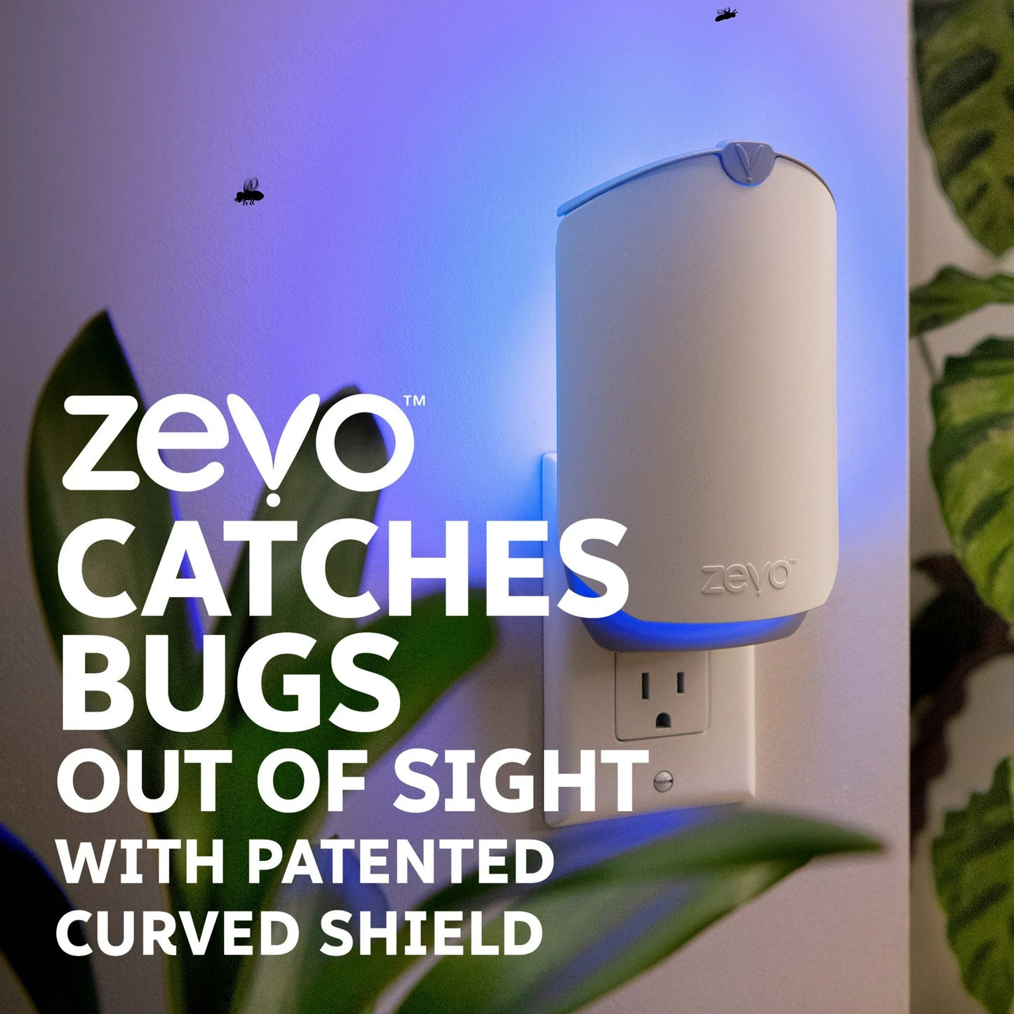 Zevo Flying Insect Indoor Fly Trap: Easy, Mess Free Solution Light Trap Catches & Kills House Flies, Fruit Flies, Gnats, & More - Value Pack (2 Plug in Devices + 2 Refill Cartridges)