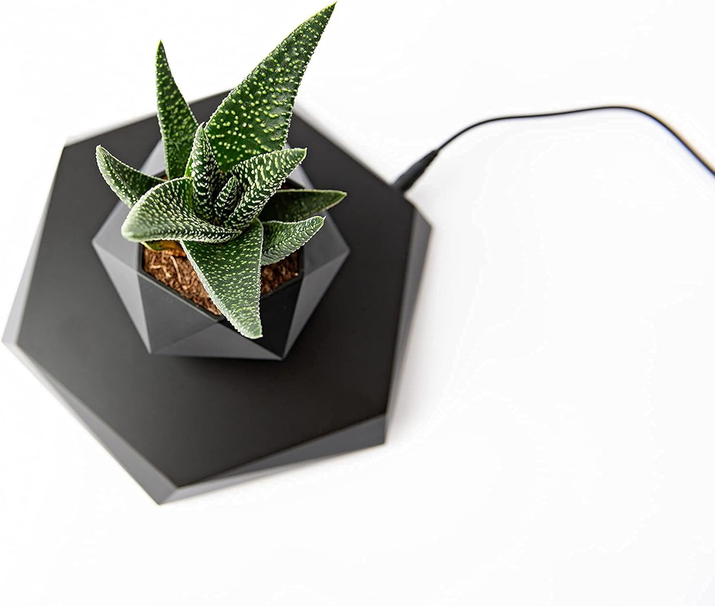 Magnetic Levitating Planter – Floating Pot for Bonsai, Succulents & Air Plants – Black Magnetic Plant Holder for Home & Office Decor