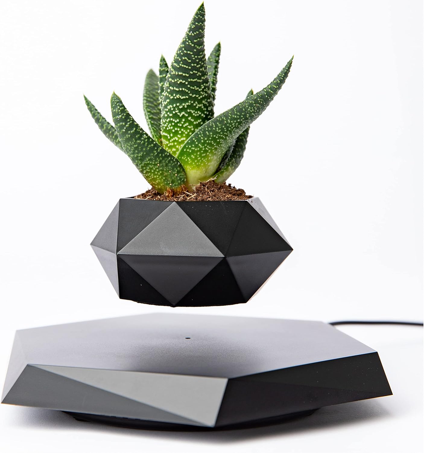 Magnetic Levitating Planter – Floating Pot for Bonsai, Succulents & Air Plants – Black Magnetic Plant Holder for Home & Office Decor