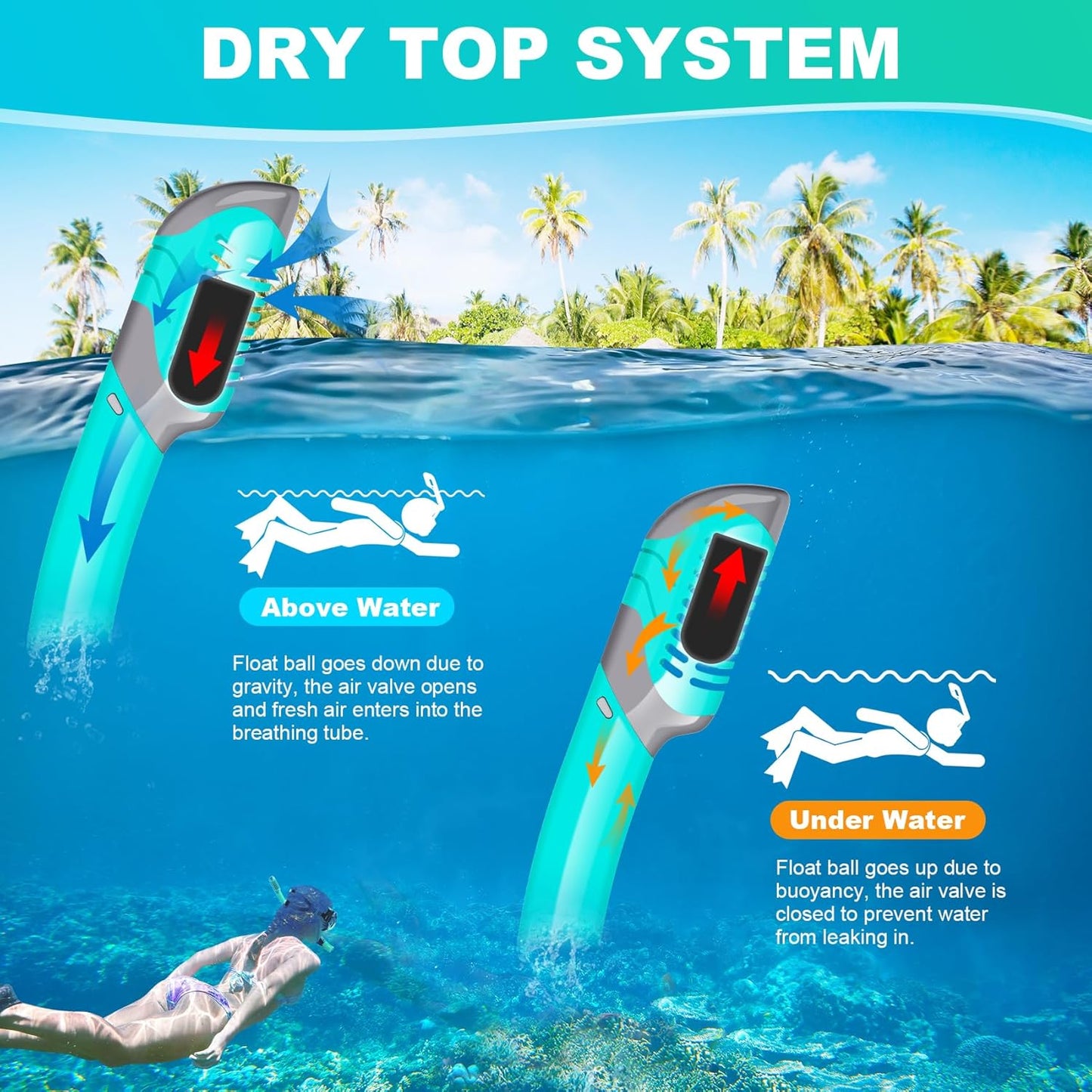 Snorkeling Gear for Adults, Snorkel Mask Adult Snorkel Set, Anti-Fog Scuba Diving Mask Panoramic View Scuba Gear, Tempered Glass Snorkel Goggles Swim Masks for Adults