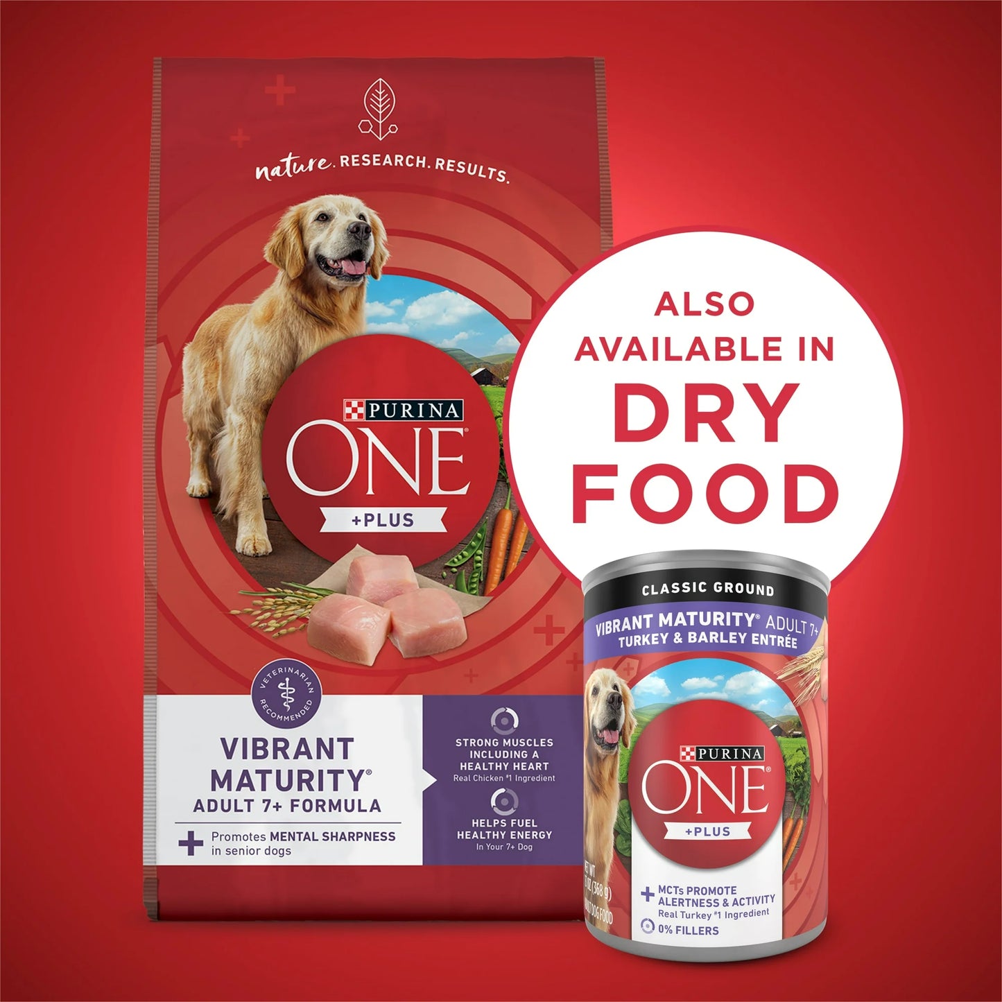 Purina ONE Plus Vibrant Maturity Wet Dog Food for Adults High Protein Turkey & Barley, 13 oz Can