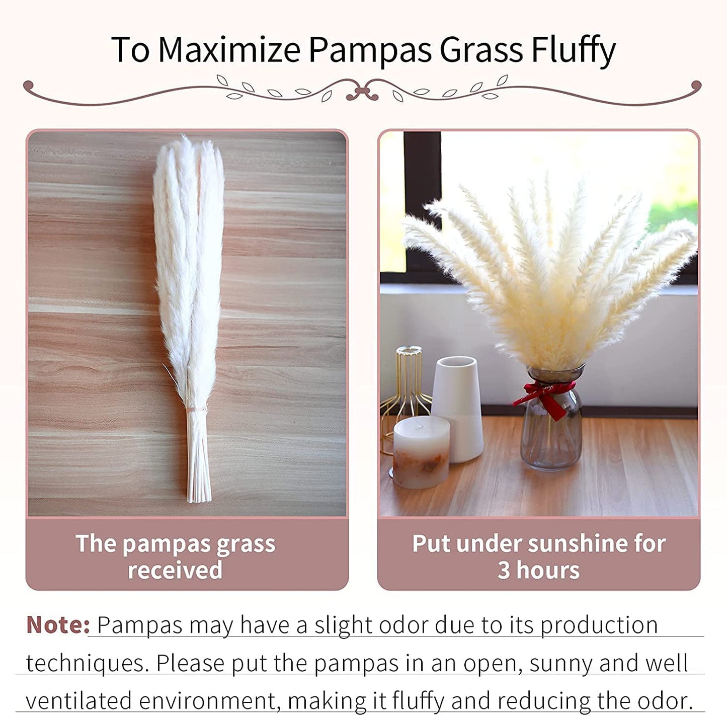 15 stems Pink Pampas Grass 20"-21"