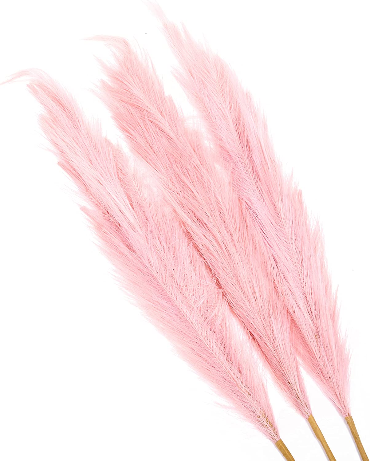 15 stems Pink Pampas Grass 20"-21"