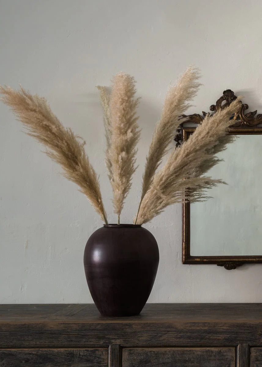 15 Stems Natural WhiteDried Pampas Grass β Fluffy Reed Grass for Home & Wedding Decor