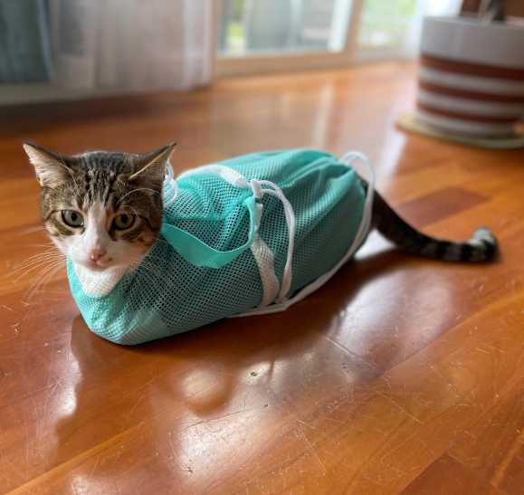 πΎ Cat Bathing Bag & Puppy Shower Sack β Adjustable, Anti-Scratch Pet Grooming Helper