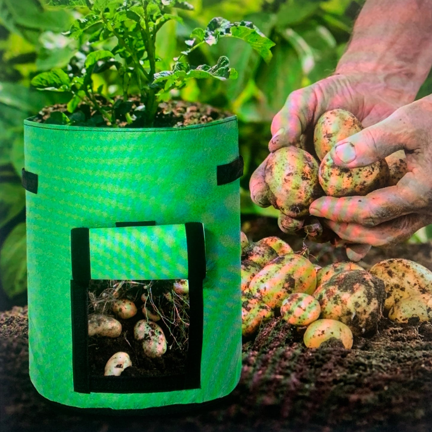 2 Pack❗️10 Gallon PREMIUM Potato Grow Bags with Access Flap & Aeration Hole, Heavy Duty Fabric
