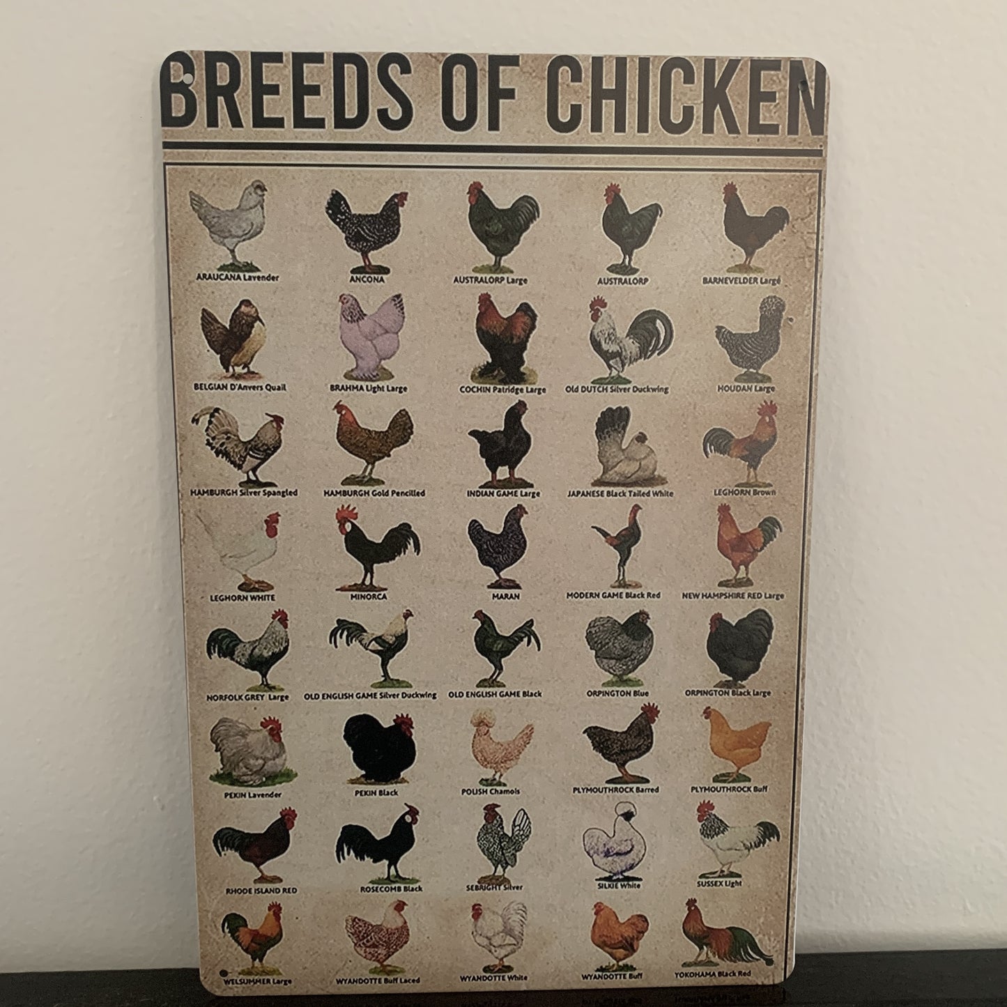 Breeds Of Chicken Tin Sign