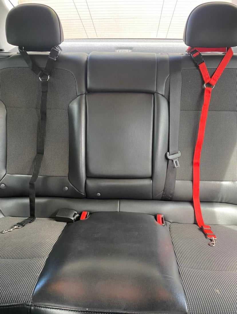 Red and Black Dog Car Seatbelt Harness – Adjustable Nylon Safety Strap for Small to Large Dogs