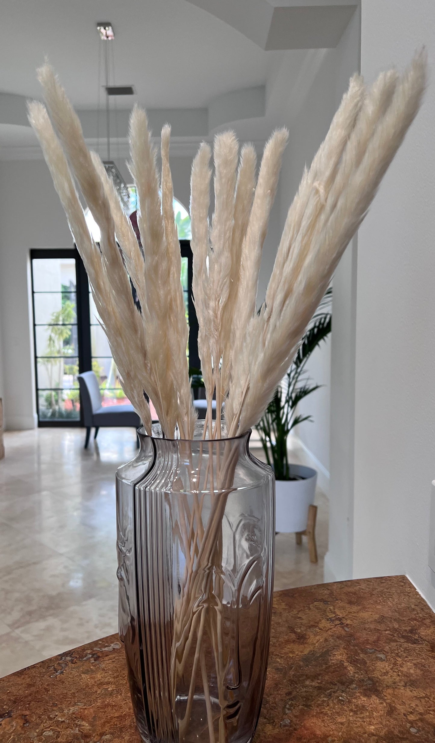 15 Stems White Pampas Grass – 23–24" Natural Dried Reed for Home & Wedding Decor