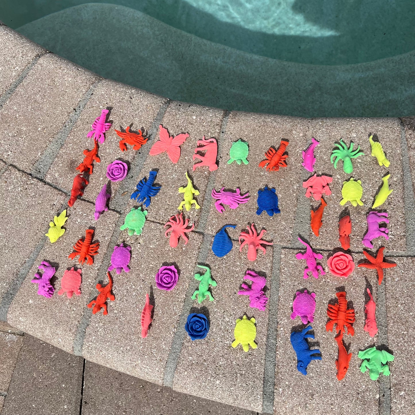 48pcs/pack Growing In Water Ocean Animal Expanding Toy Water Soaked Biology Rubber Toys Ocean Animals Toy Soaking Expansion