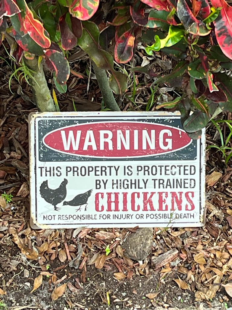 Chicken Coop Sign - Warning Property Protected by Chickens - Durable Metal Sign