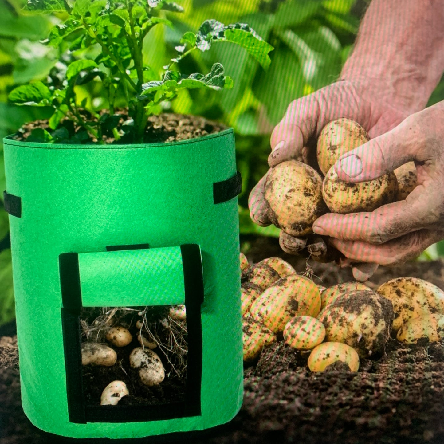 2 Pack❗️10 Gallon PREMIUM Potato Grow Bags with Access Flap & Aeration Hole, Heavy Duty Fabric