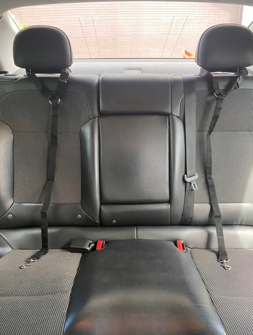 2 PACK! Dog Seatbelts for Car, Truck, Suv. Keep your pets safe!