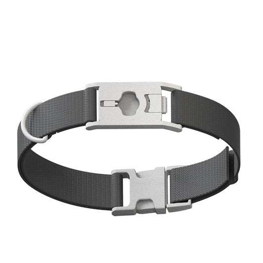 Whistle Small Twist & Go Pet Tracking Collar Compatible With Whistle GO Explore Dog GPS Tracker Device, Gray