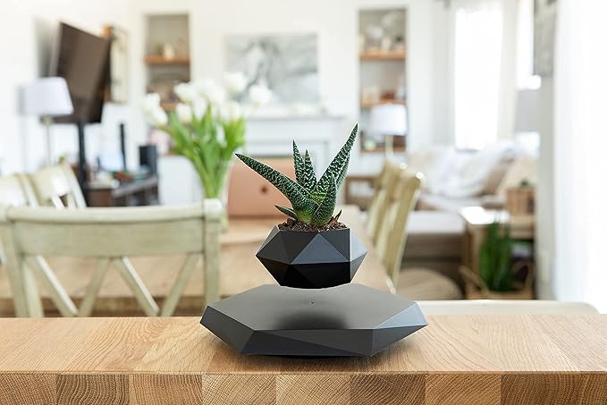 Magnetic Levitating Planter – Floating Pot for Bonsai, Succulents & Air Plants – Black Magnetic Plant Holder for Home & Office Decor