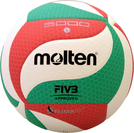Molten Volley Ball