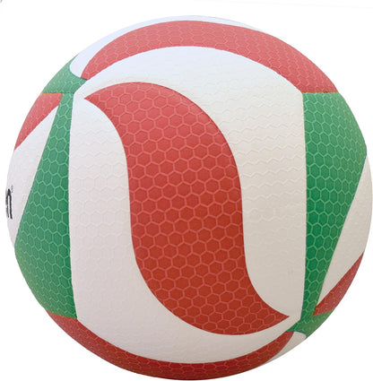 Molten Volley Ball