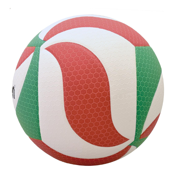 Molten Volley Ball