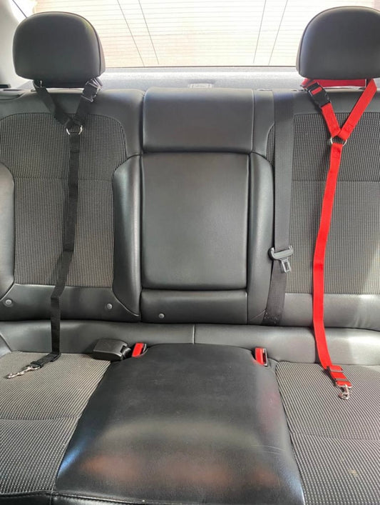 Red and Black Dog Car Seatbelt Harness – Adjustable Nylon Safety Strap for Small to Large Dogs