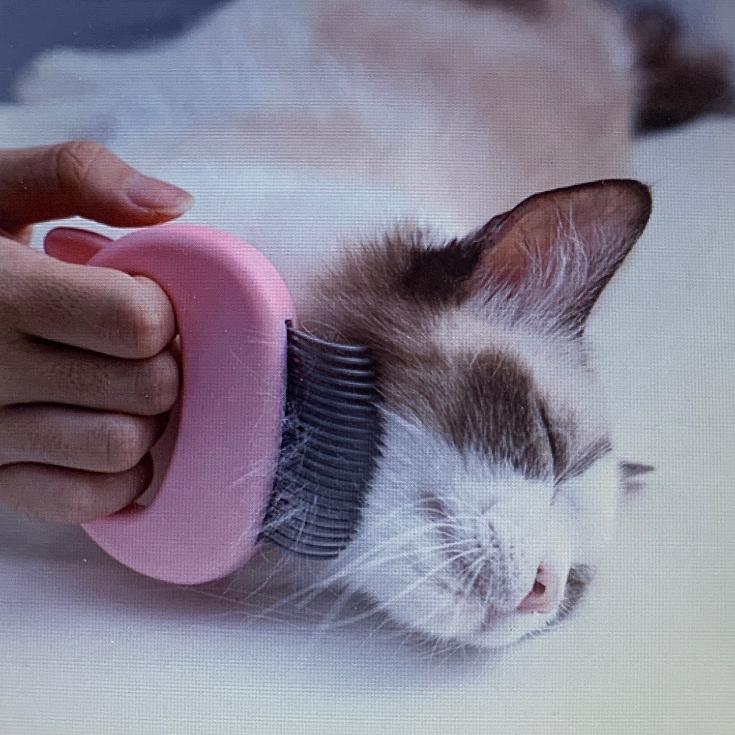 Cat Grooming Comb and Massage Brush for Shedding and Detangling