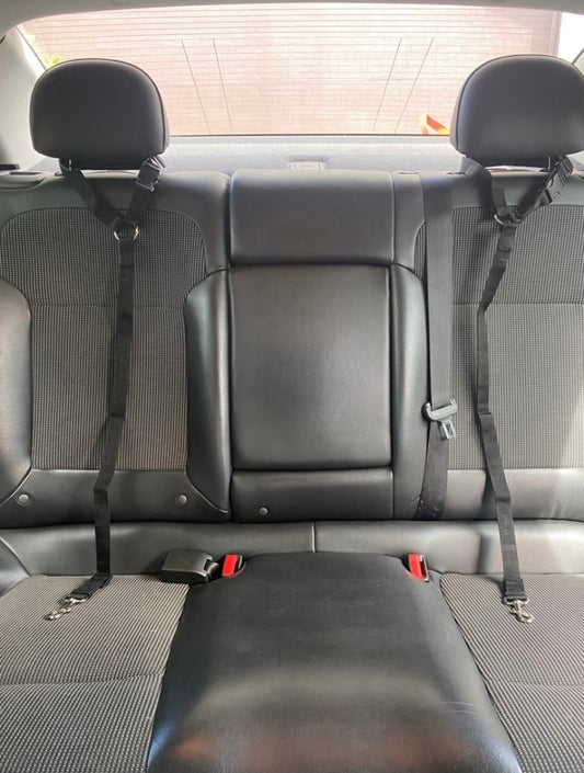 2 PACK! Dog Seatbelts for Car, Truck, Suv. Keep your pets safe!