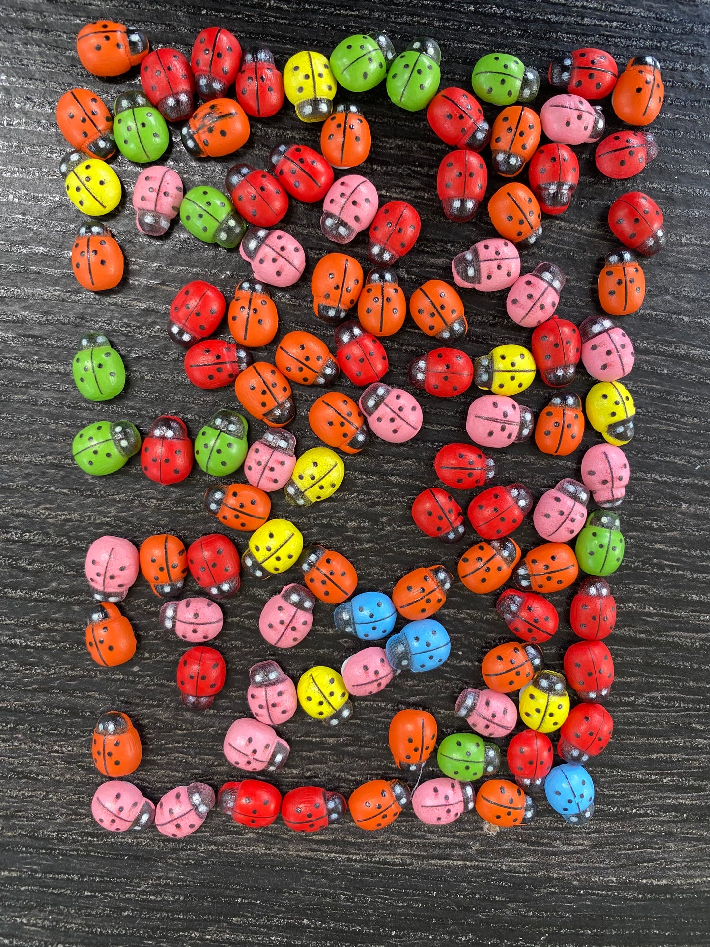 100 PCS Mini Wooden Ladybug & Bee Decorations – DIY Craft Embellishments 🐞