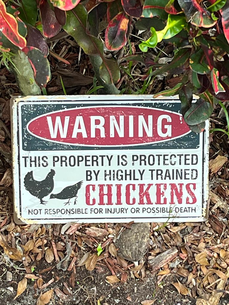 Chicken Coop Sign - Warning Property Protected by Chickens - Durable Metal Sign
